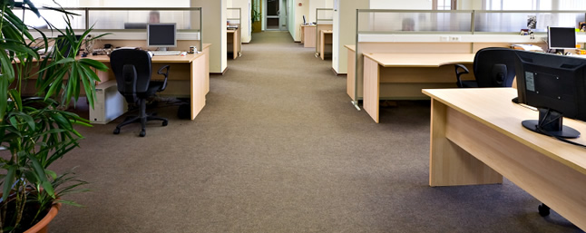 απολύμανση μυλώβας